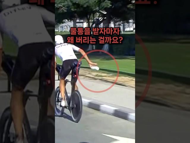고의인가? 꼼수인가?