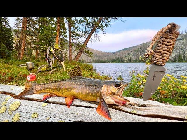 MOUNTAIN Trout Fishing & SOLO Camping!!! (Catch & Cook)