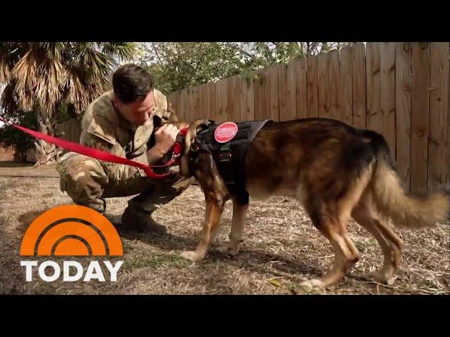 See the heartwarming reunion between military dog and handler