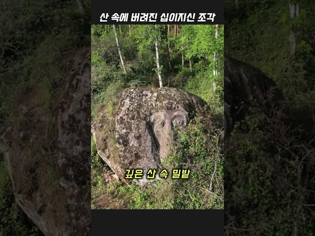산 속에 버려진 동물 조각상