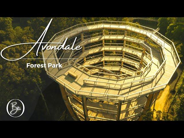 AVONDALE TREETOP WALK & VIEWING TOWER | BEYOND THE TREES | IRELAND | 4K