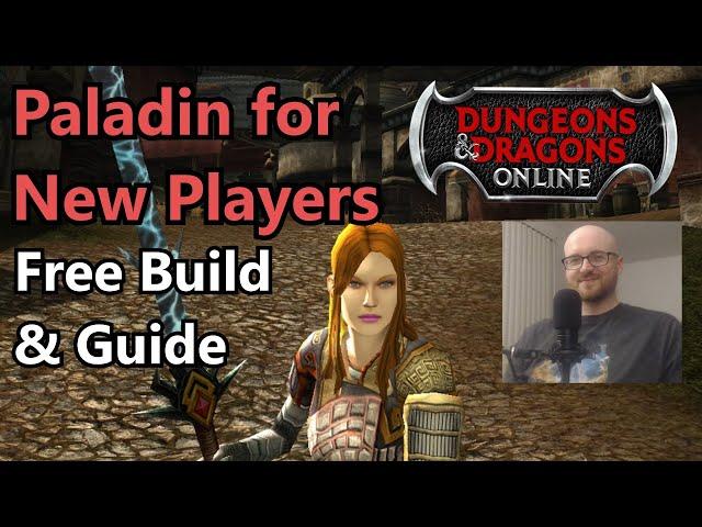 Paladin Starting Build and Guide for New Players