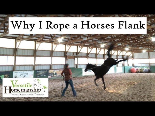 Why I Rope A Horses Flank // Versatile Horsemanship