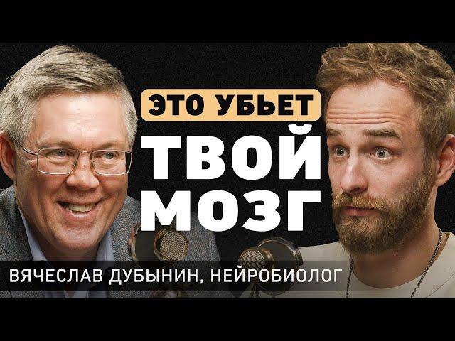 Как избавиться от старых убеждений? Про лень, инфофастфуд и как помочь мозгу быть эффективнее?