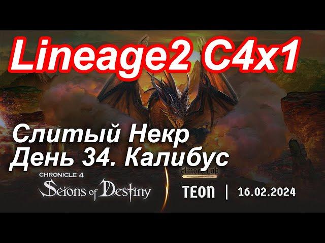 Lineage2. Elmorelab.com. Cronicle4 x1. Cлитый некр. День 34. Калибус. Я понял, что нужна другая пуха