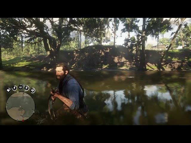 Red Dead Redemption 2_20181124213155