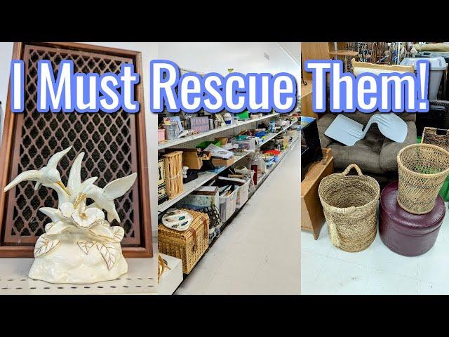  I MUST RESCUE THOSE FROM GOODWILL! | THRIFTING & MY UNIQUE GIFT FINDS! 2024