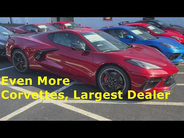 Corvette Stingrays, Dealers Overstocked, Great Time to Buy