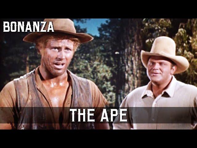 Bonanza - The Ape | Episode 46 | Wild West | Full Episode | English