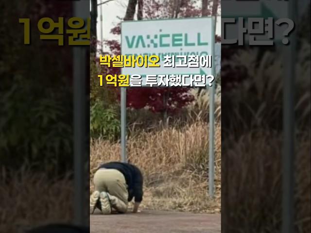 박셀바이오 최고점에 1억원을 투자했다면?