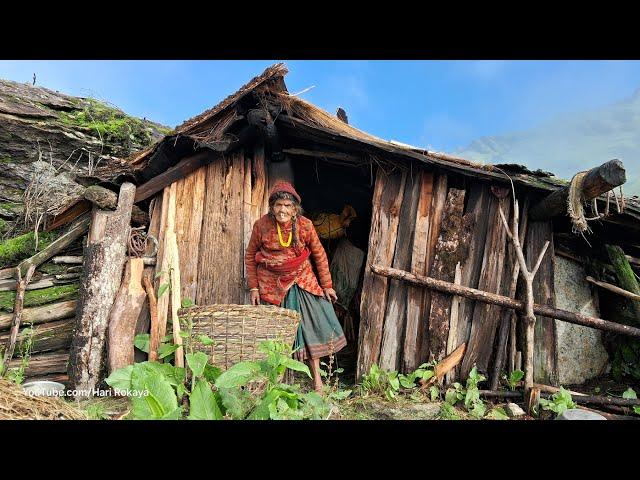 Most Beautiful And Relaxing Mountain Village Life of Nepal || Hari Rokaya Best Compilation Video ||