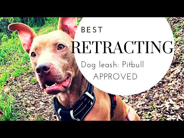 Retractable Dog Leash | Best Leash for Hiking with your Dog