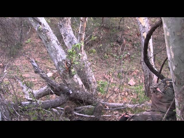 Preston and Donald's Goulds Turkey Hunt Part 2 with Jay Scott