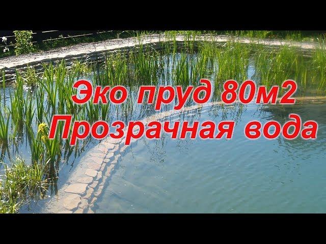 Эко пруд 80м2 Прозрачная вода