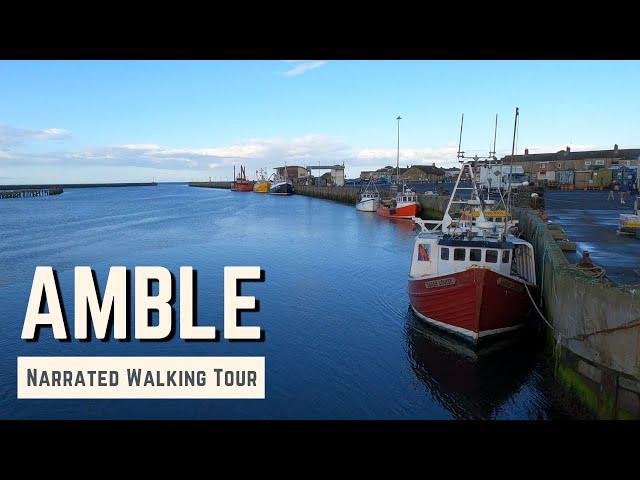 AMBLE, Northumberland | 4K Narrated Walking Tour | Let's Walk 2024