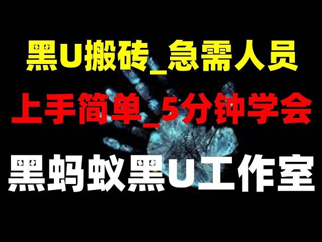 #黑usdt能不能买？兼职副业平台app||捞偏门2024年第2期分享，USDT灰产项目 2024最稳网赚项目|网络赚钱USDT搬砖教程#大陆网赚,#黑U洗白,#自动赚钱 #搬砖。#网路赚钱