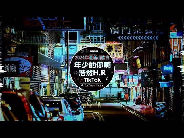 2024最火歌曲DJ Remix【最佳 DJ 混音音乐】 抖音神曲2024  破億中文歌曲排行榜: 是你/LONELY/苦咖啡·唯一/若把你/仗著/王靖雯不胖...