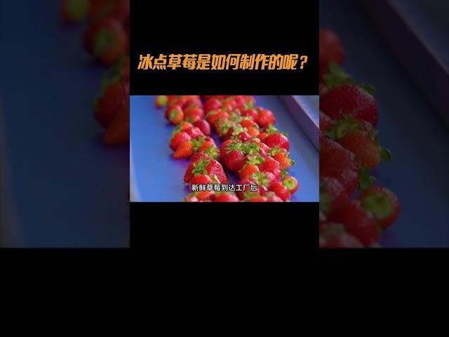 冰点草莓是如何制作的？ #草莓 #冰点草莓 #丹东草莓