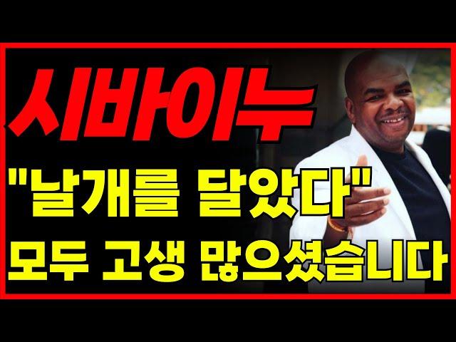 [시바이누 코인] 6개월 내 "100배" 상승! 드디어 '날개'를 달았다!