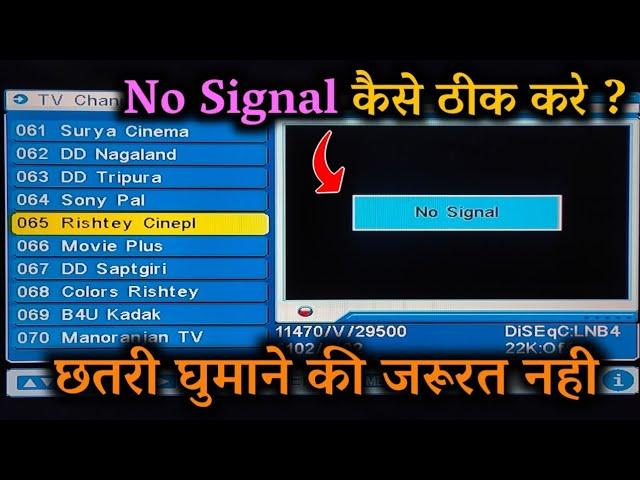 DD free dish No Signal Problem | free dish signal setting | Free Dish No Signal problem