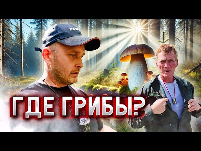 In Search of Edible Mushrooms: Expedition with Seryozha Golovores 