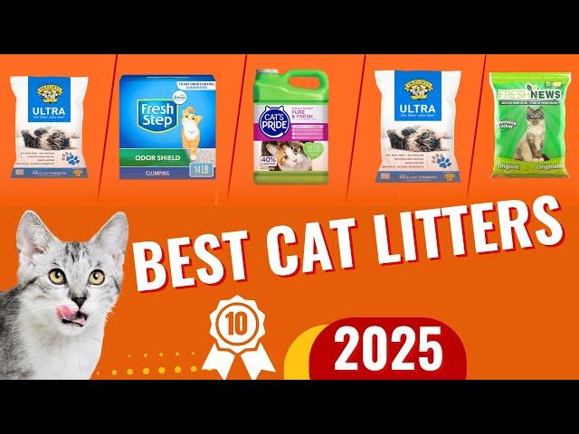 The 10 Best Cat Litters of 2025