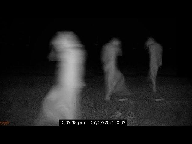 5 Disturbing Videos Caught by Campers in the Woods