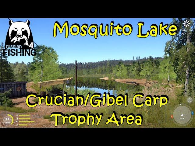 Russian Fishing 4 Mosquito Lake Beginner Trophy Area