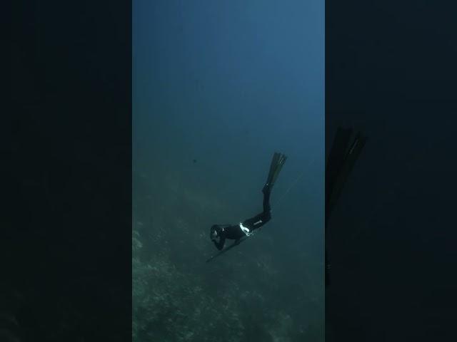 Spearfishing BIG Grouper (100 feet deep)