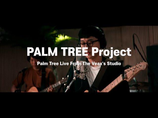 Palm Tree - 야자나무프로젝트