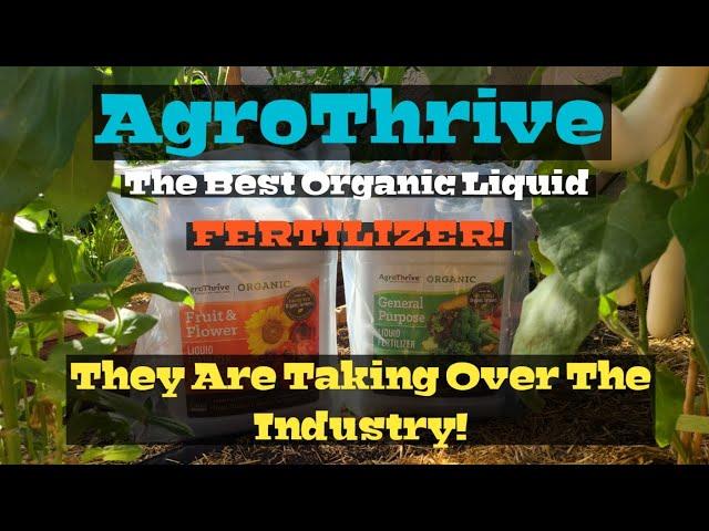 AgroThrive (Organic Liquid Fertilizer)