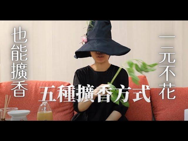 擴香儀還是水氧機？史上最全擴香設備大揭秘！| 選擇最合適的擴香裝備 | 花小錢就有大作用 | 魔女精油小教室