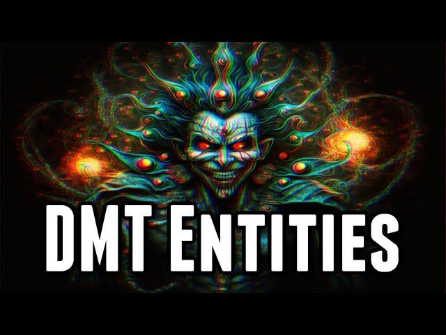 7 DMT Entities