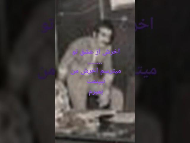 مسعود امینی