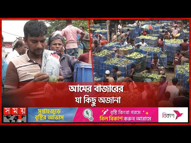 আমের গায়ে কী লেখেন বেপারিরা? | Rajshahi Mango | Mango Market | Baneswar | Somoy TV