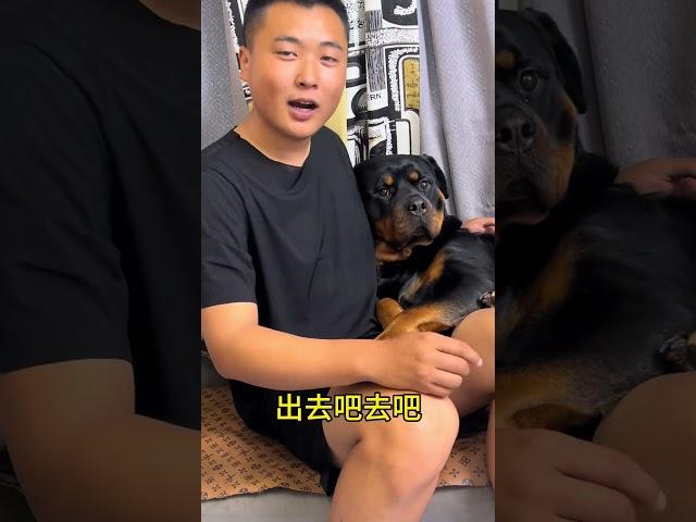 撵我了开始 #拉登与阿亮的日常生活