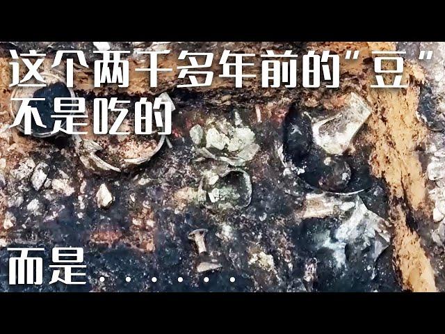 山西发现一处春秋时期大型贵族墓 墓主或为当时卿大夫《探索·发现》洪洞南秦墓地（上）| 中华国宝