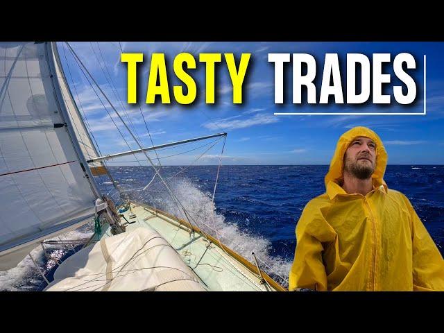 What Trade Wind Sailing Is Really Like + Heave To Testing