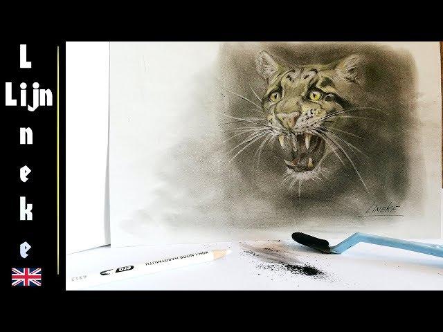 Easy LEOPARD for beginners charcoal drawing