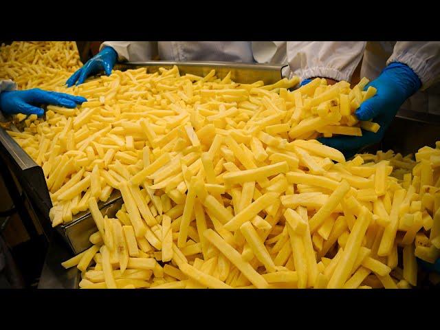 Various Korean Food Mass Production Process | Korean Food