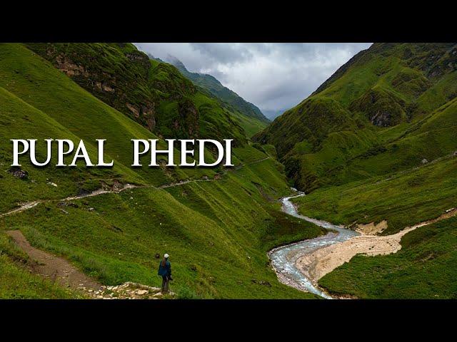 PUPAL PHEDI || YARSA LAND | OLDEST TREKING  ROUTE IN WEST DHAULAGIRI CIRCUIT TREK