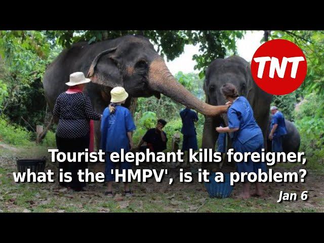 Tourist elephant kills foreigner, what is the 'HMPV' and is it a problem? - Jan 6