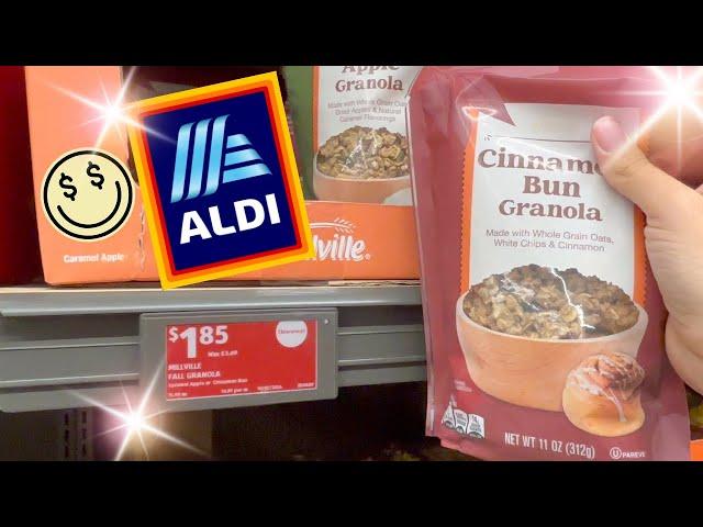 Sweet Sales!!   - Weekly Family ALDI Grocery Haul November 2024