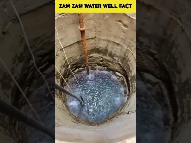 Zam zam water amazing fact | #amazingfacts #shortsfeed #shorts #zamzam #ytshorts #motivation #facts