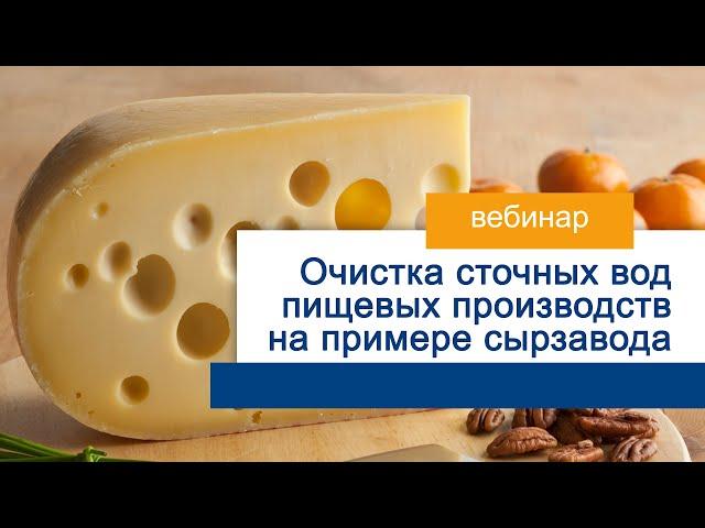 Очистка сточных вод пищевых производств на примере сырзавода