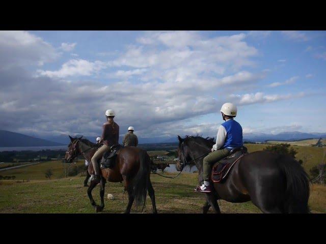 Spectacular scenery – Fiordland Horse Treks and quad bike adventures