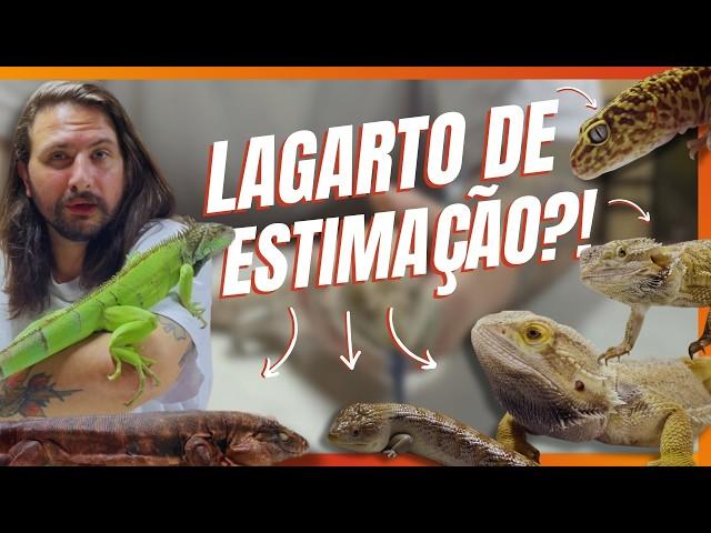 QUAL O MELHOR LAGARTO PARA TER COMO PRIMEIRO PET?