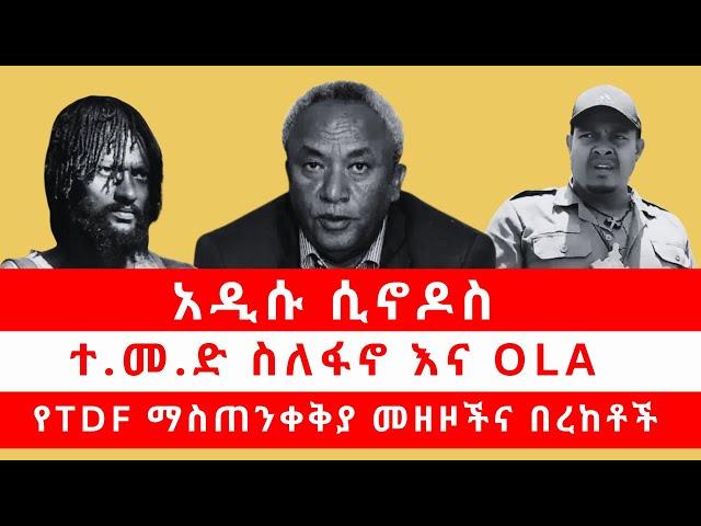 አዲሱ ሲኖዶስ | ተ.መ.ድ ስለፋኖ እና OLA | የTDF ማስጠንቀቅያ መዘዞችና በረከቶች 10/25/24