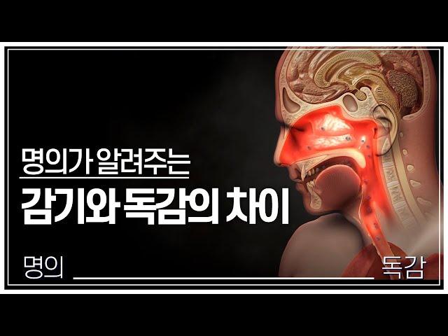 [명의] 감기일까 독감일까? | 명의가 알려주는 감기, 독감 구별법‍️ | 감기와 다르다 폐렴과 독감