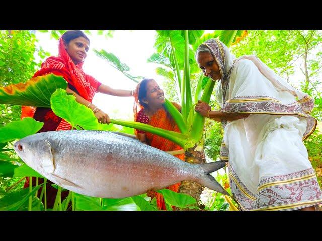 চিংড়ি মান কচুর তরকারি সঙ্গে ইলিশ পেটির ঝোল | Famous Man Kochur diye Chingri & Ilish Peti jhol recipe